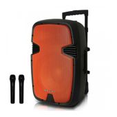 בידורית ניידת 12” עם 2 מיקרופונים מבית PURE ACOUSTICS פיור אקוסטיק PMW3012