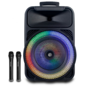 בידורית קריוקי מבית PURE ACOUSTICS פיור אקוסטיקס דגם V12250