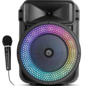 בידורית 1100W כולל מיקרופון חוטי PURE ACOUSTICS פיור אקוסטיקס דגם WOMB108